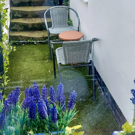 The Albion Tatil Evi Whitby